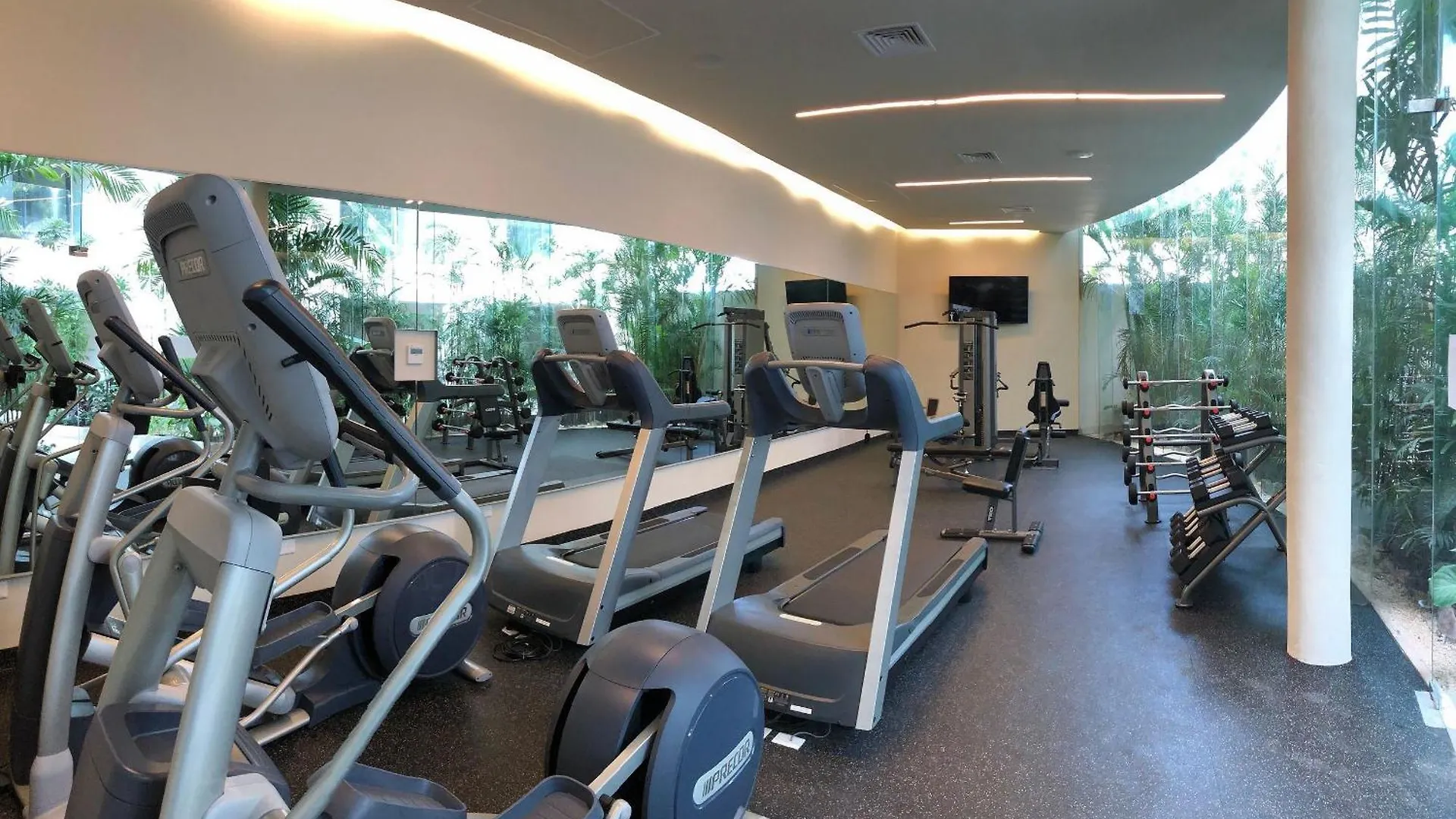 Apartamento Habitacion Privada Riviera Maya, Playa Del Carmen!